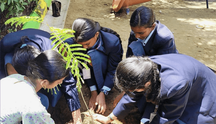 Tree Plantation Day